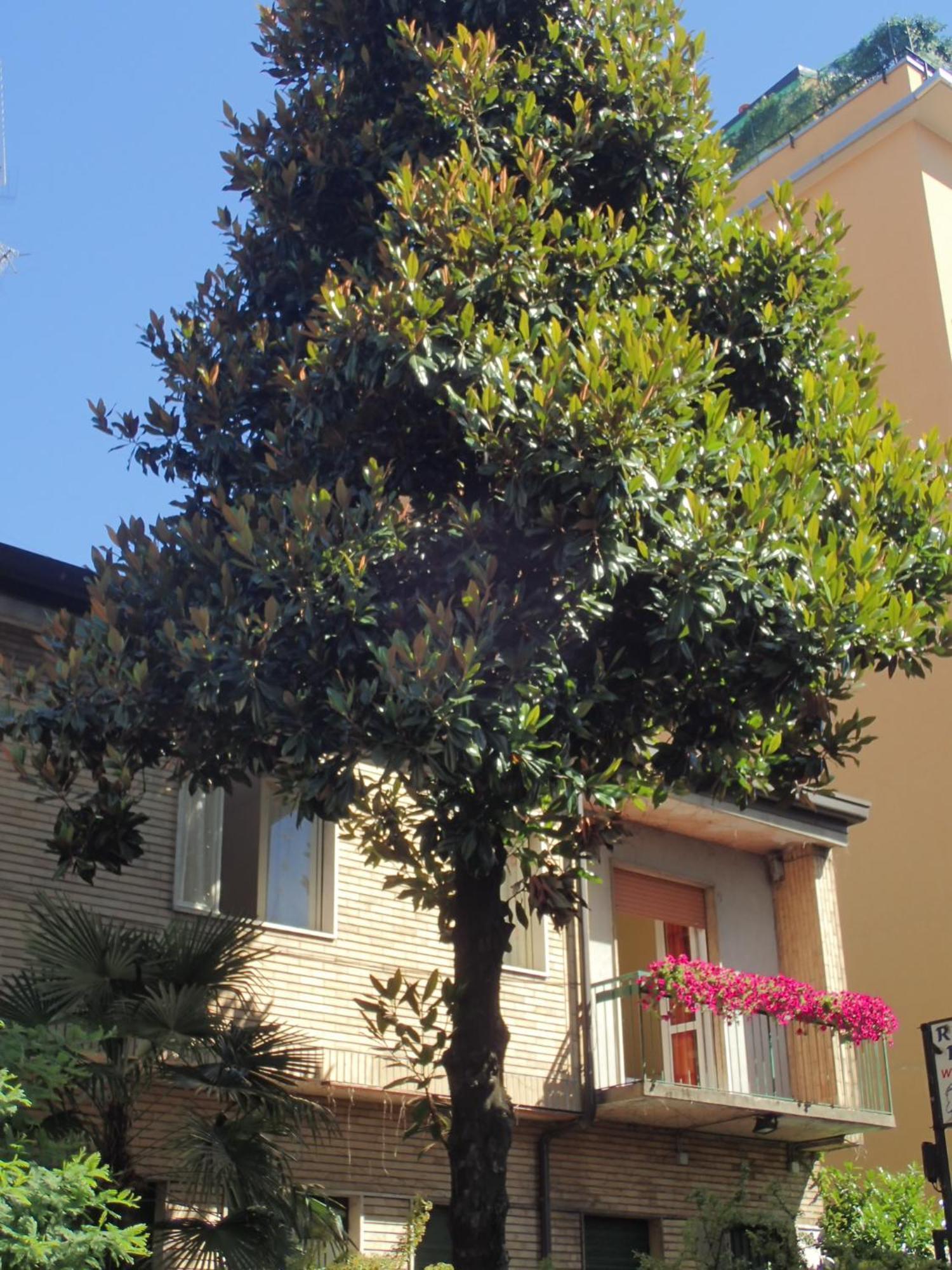 Hotel Brivio Milan Exterior photo